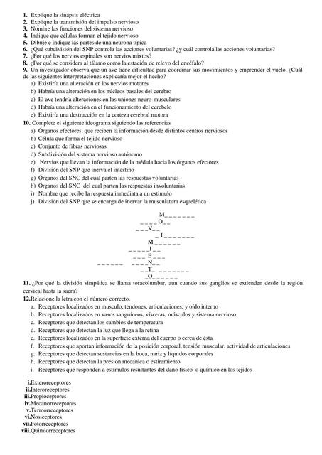 Evaluación de anatomía 