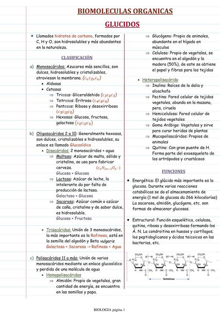 Biomoléculas Orgánicas Glúcidos 