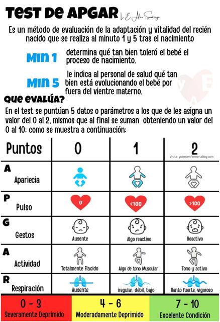 test-de-apgar-gilda-sana-udocz
