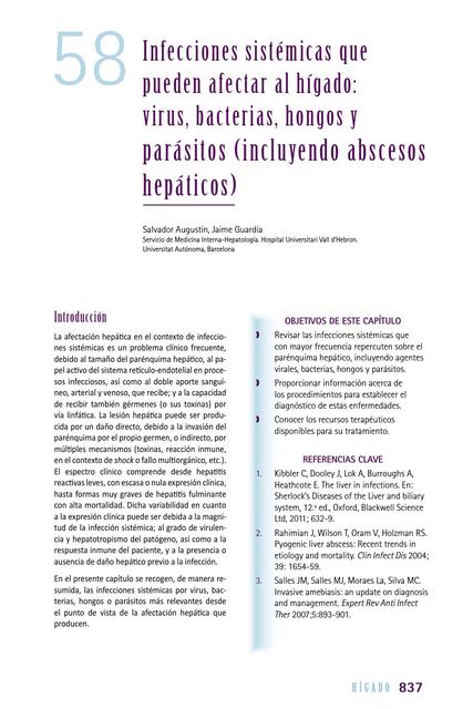 Abcesos Hepáticos 