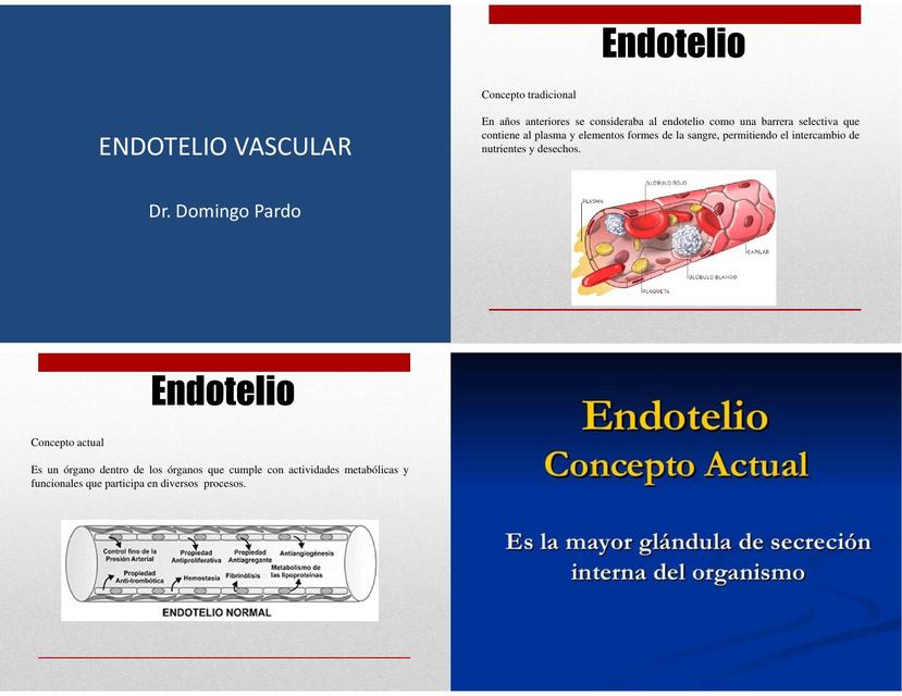 Endotelio Vascular