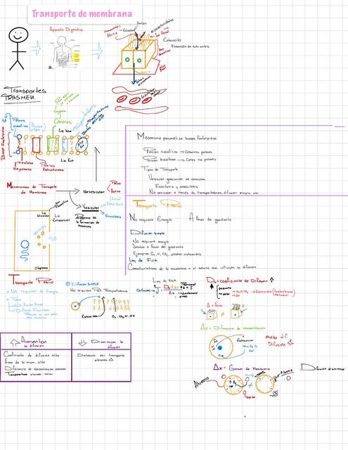 Transporte de Membrana 