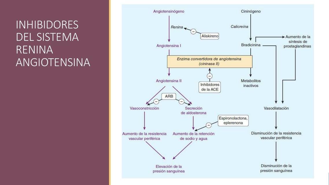 Inhibidores del Sistema Renina Angiotensina 