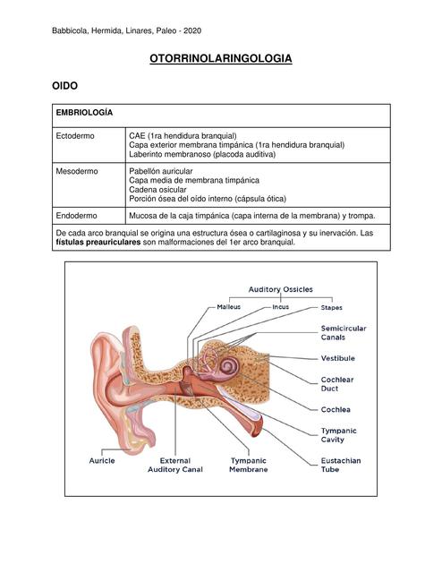 Otorrinolaringología  