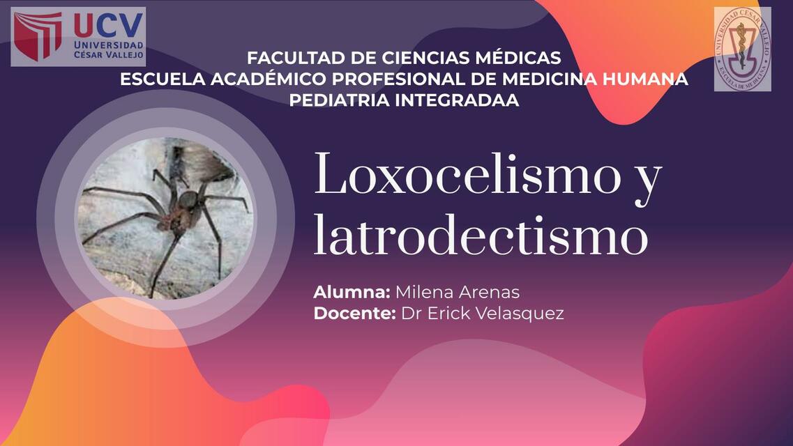 Loxocelismo y Latrodectismo