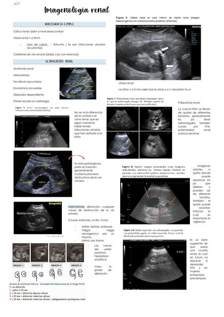 Imagenología renal  