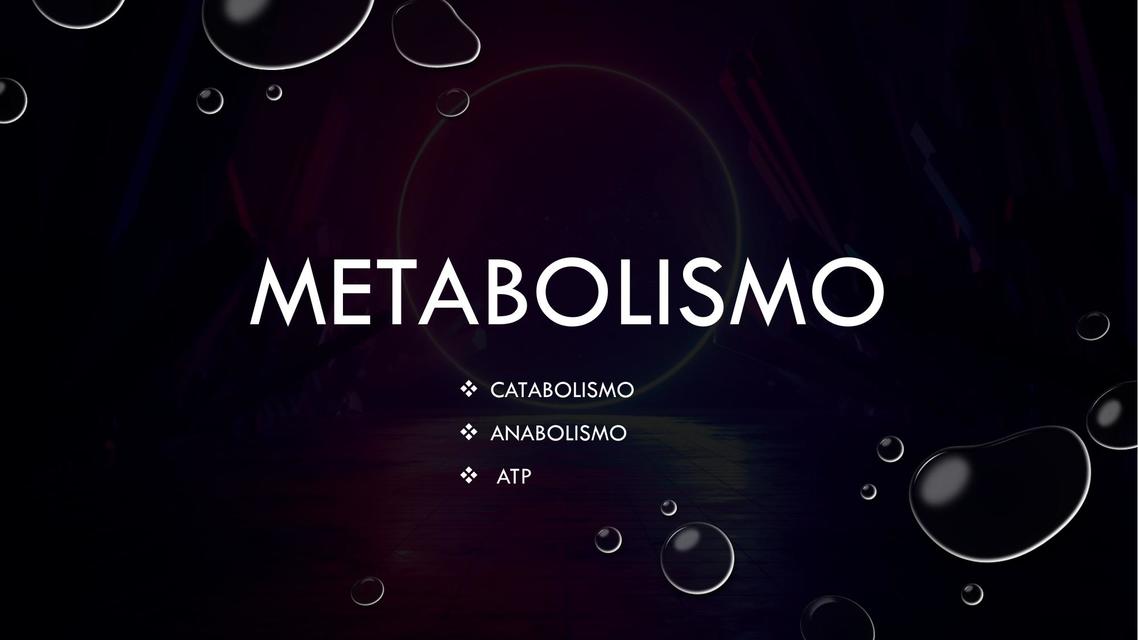 Metabolismo 