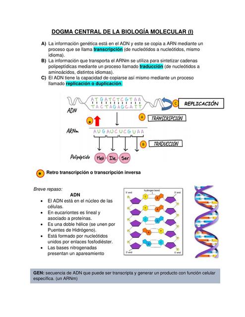 Dogma Central de la Biología Molecular I  