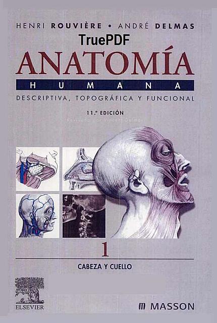 Anatomia Humana Tomo 1 Cabeza Y Cuello 11va Edicion Henri Rouvire Enfermeria Ingenieria Civil Udocz