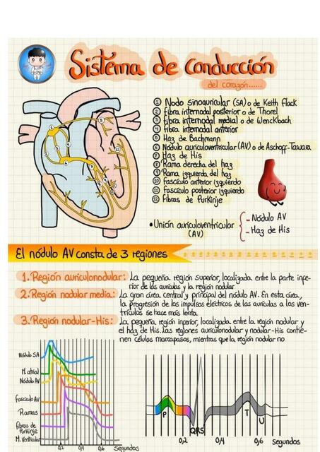 Apuntes (sistema de conducción)