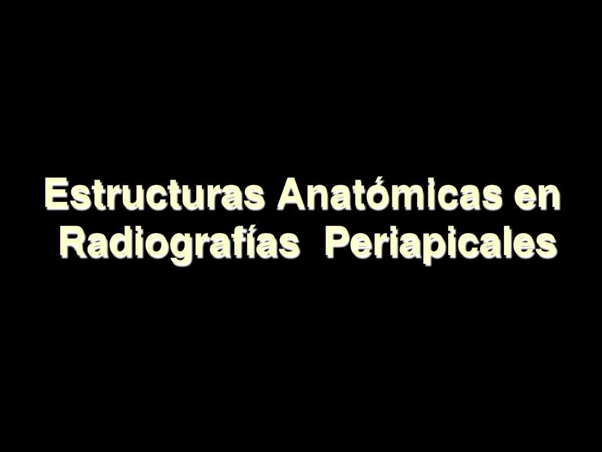 Estructuras Anatómicas en Radiografías Periapicales 