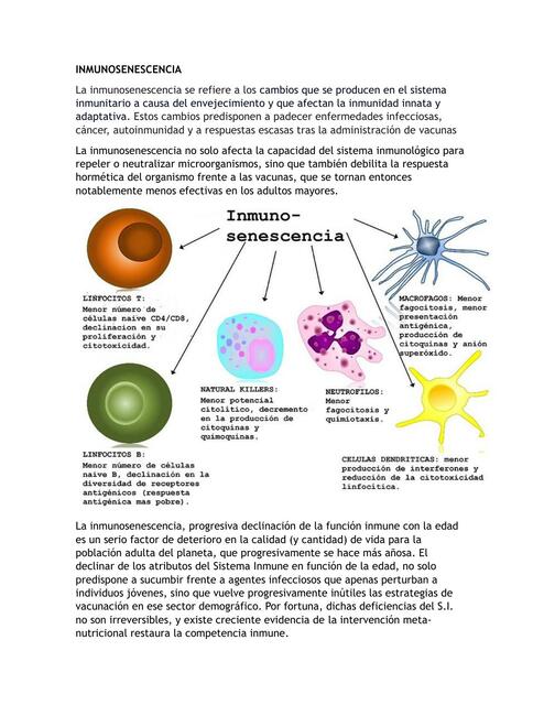 Inmunosenescencia 