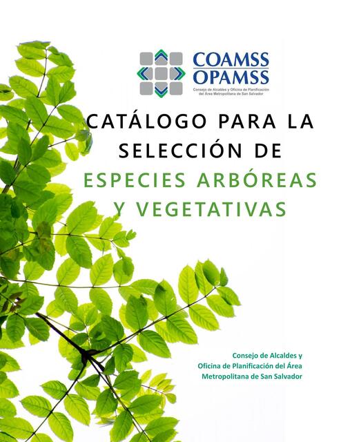 Catálogo para la Selección de Especies Arbóreas y Vegetativas 