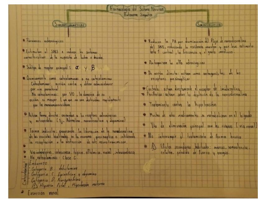 Farmacología del sistema nervioso 