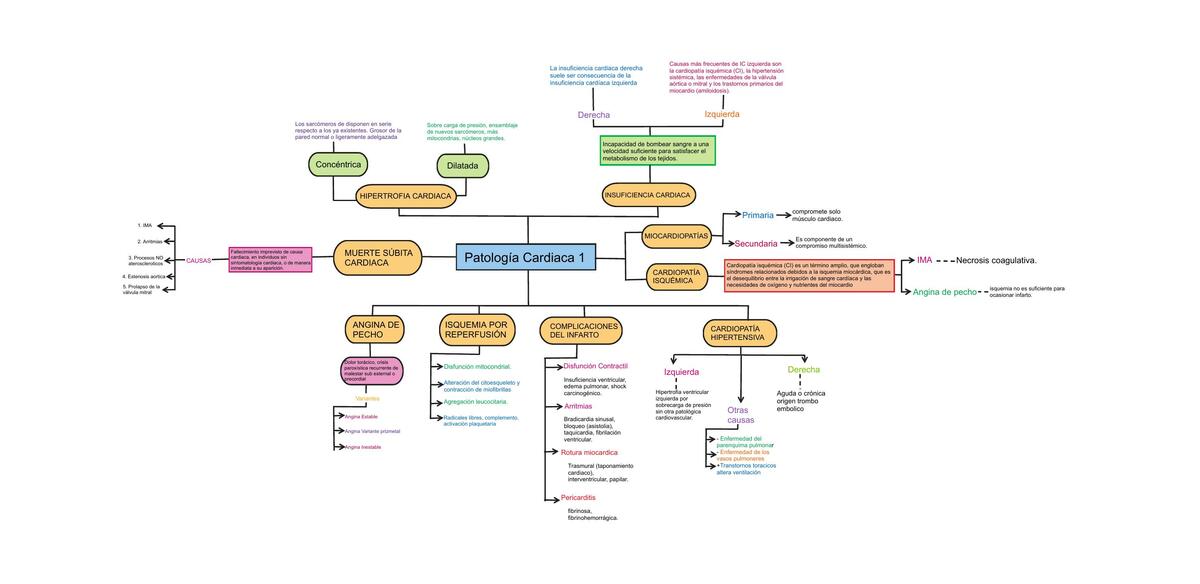 Patología Cardiaca 1