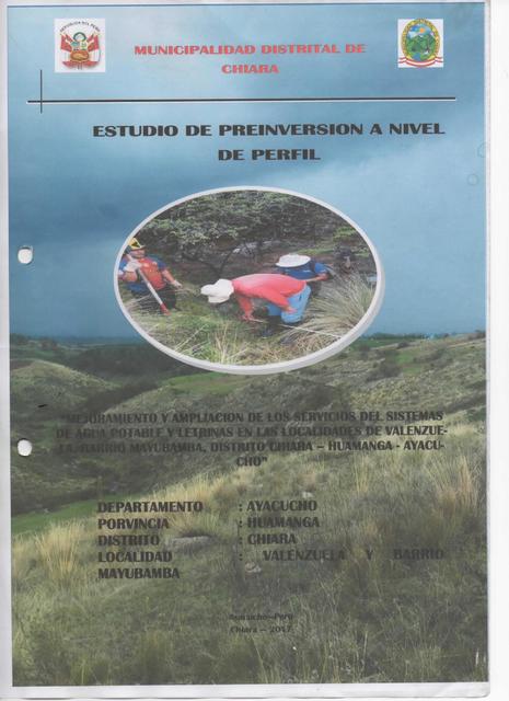 Estudio de preinversion a nivel de perfil 