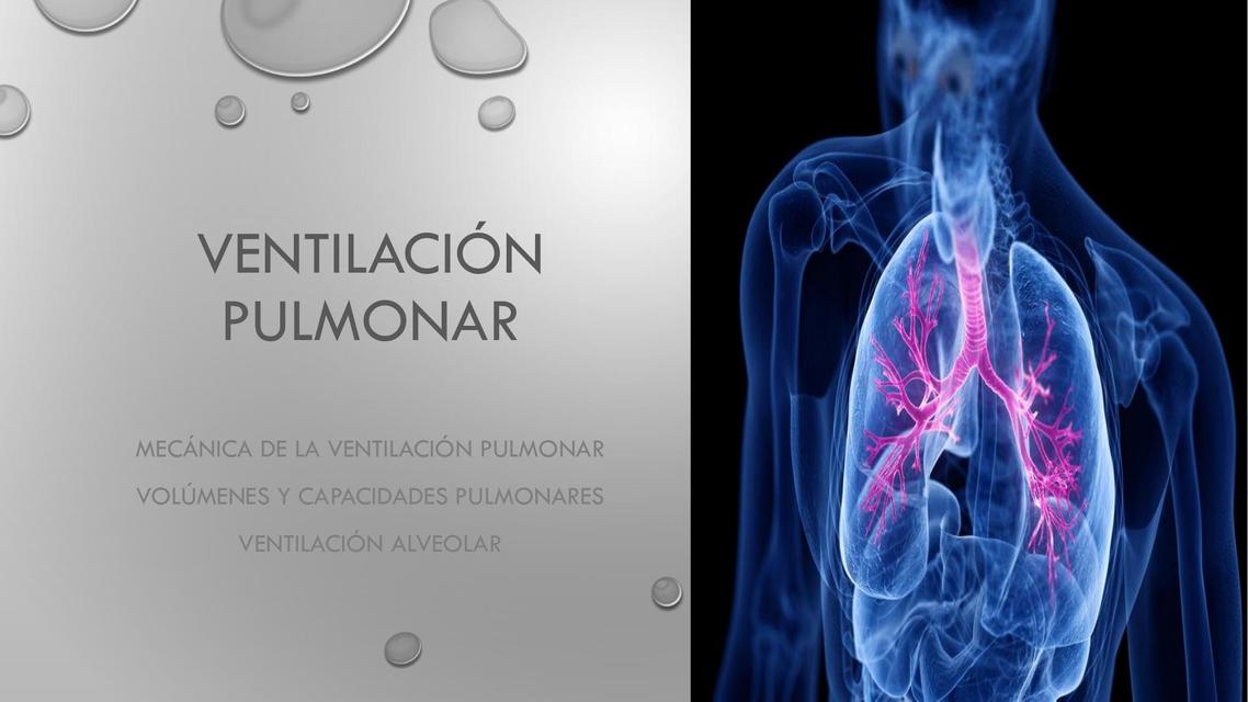 Ventilación pulmonar   