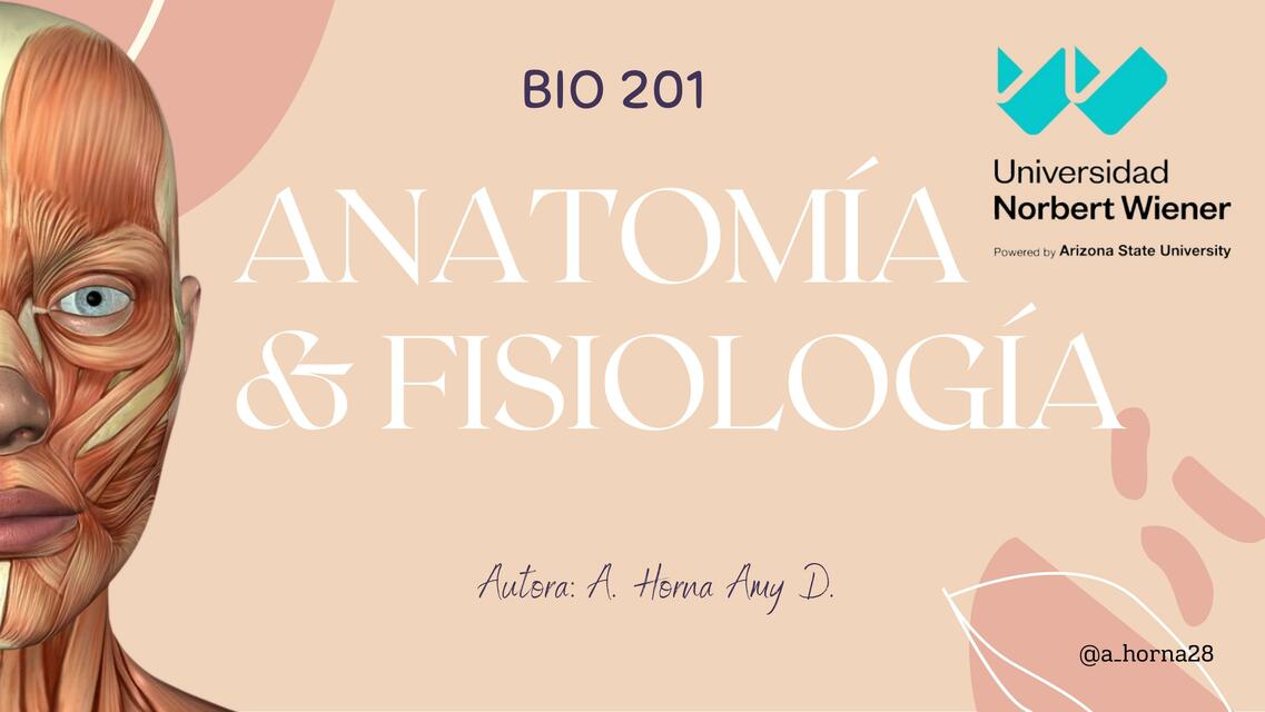 Anatomía y Fisiología 