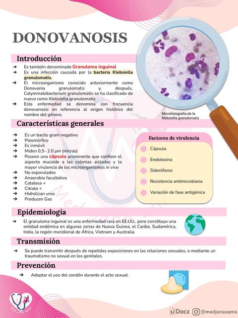 Donovanosis (Granuloma inguinal) | Med Jana sama | uDocz