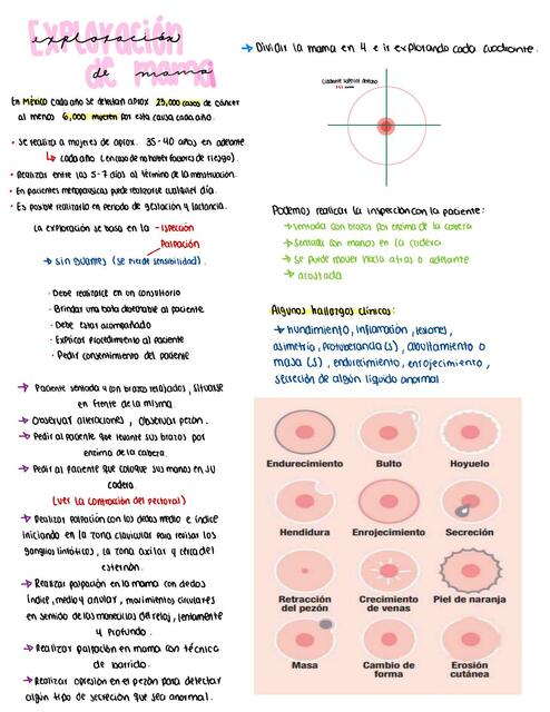 Exploración Clínica de Glándulas Mamarias