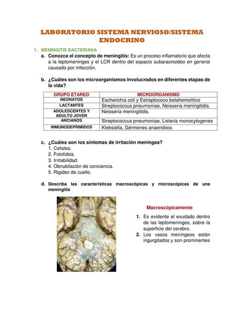 Laboratorio de sistema nervioso central y endocrinología  