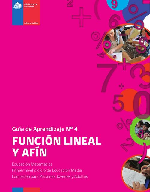 Guía de Aprendizaje N° 4 Función Lineal y Afín