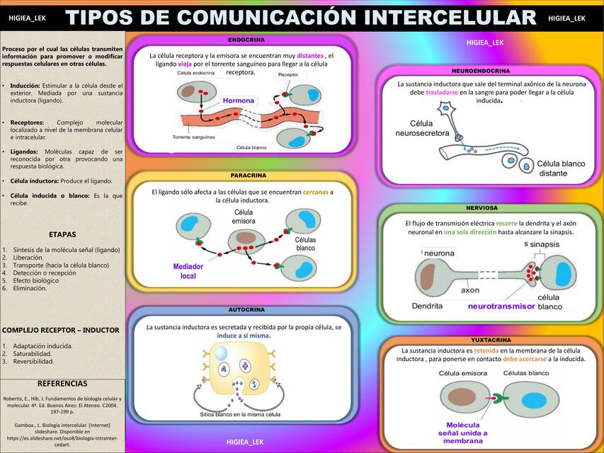 Tipos de Comunicación Intercelular 