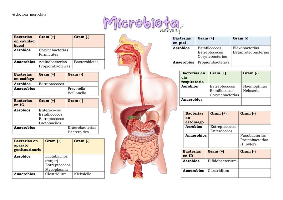 Microbiota  