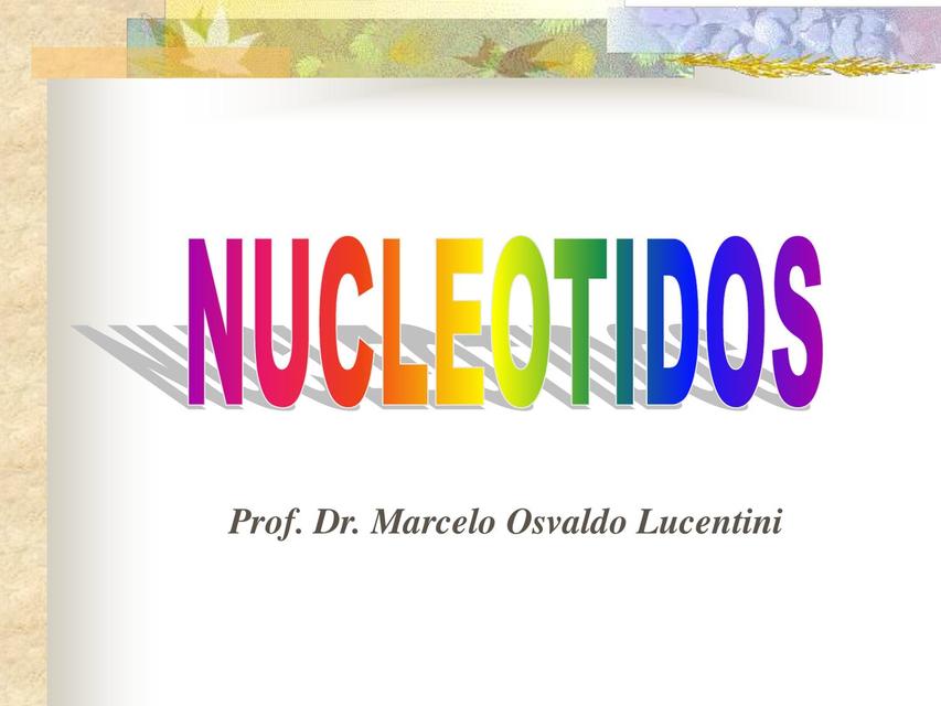 Nucleótidos 