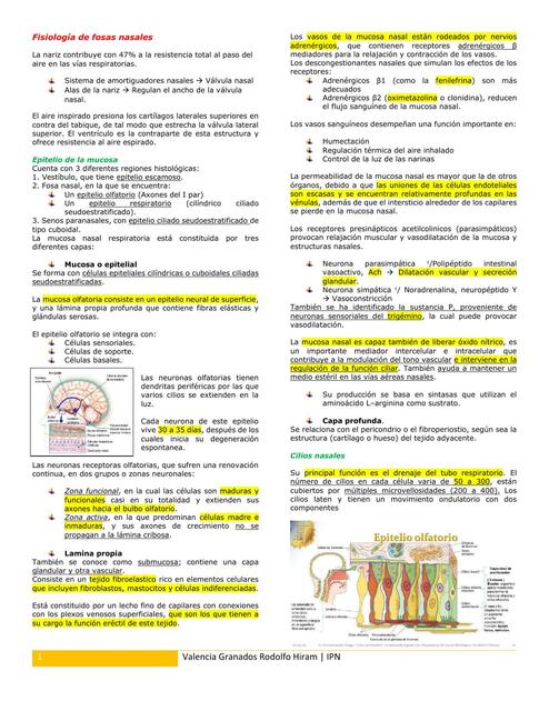 Fisiología de la nariz 