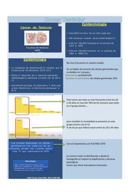 Cáncer Testicular 