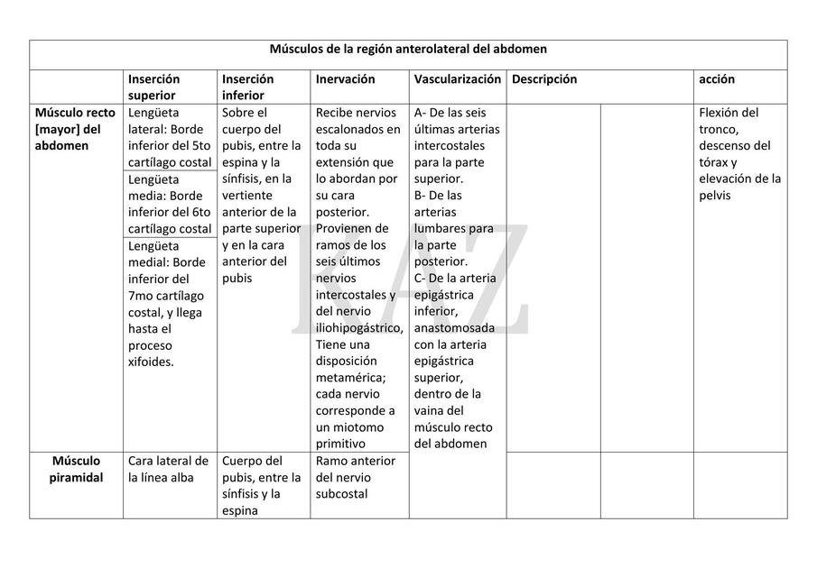 Músculos de la Región Anterolateral del Abdomen