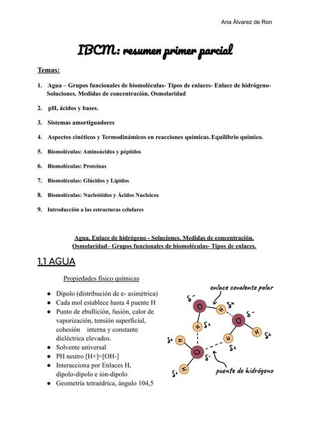 Resumen IBCM