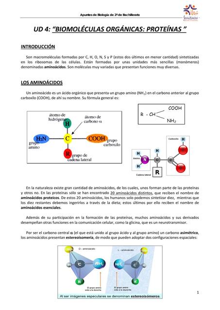 Biomoléculas Orgánicas: Proteínas 