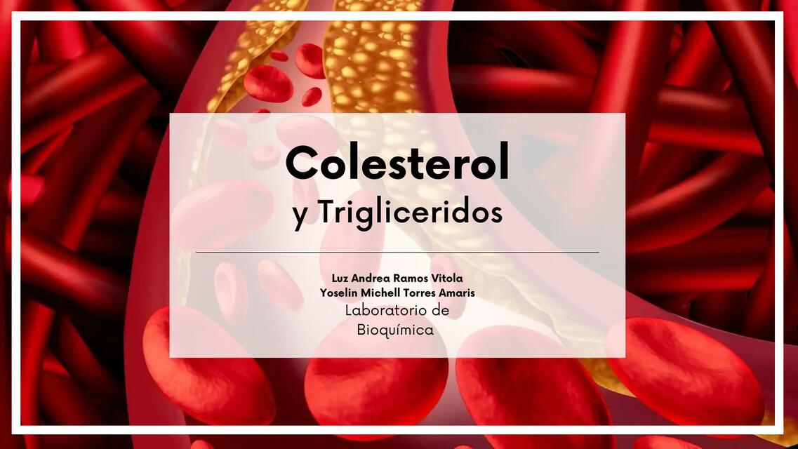 Colesterol y triglicéridos