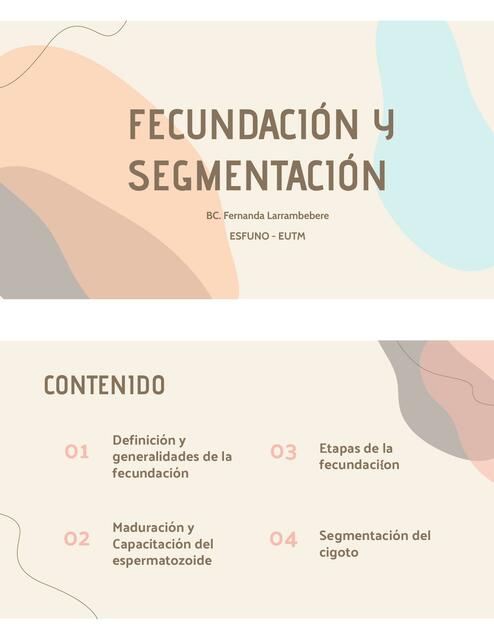 Fecundación  y Segmentación 