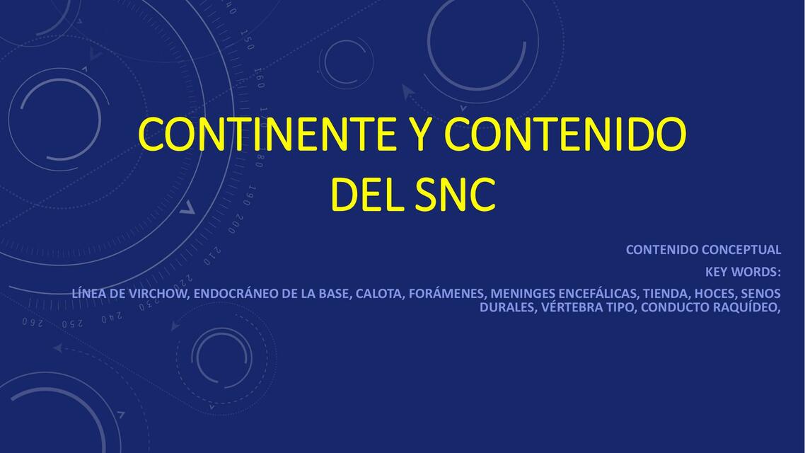 Continente y contenido del SNC