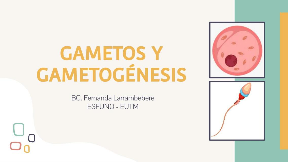 Gametos y Gametogénesis 