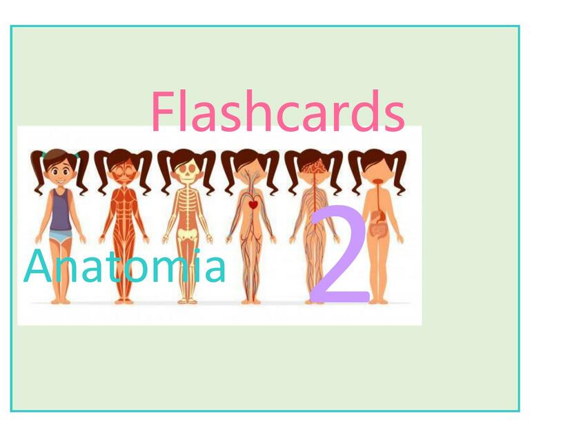 Flashcards