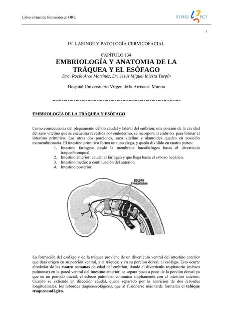 Embriología y Anatomía de la Tráquea y el Esófago 