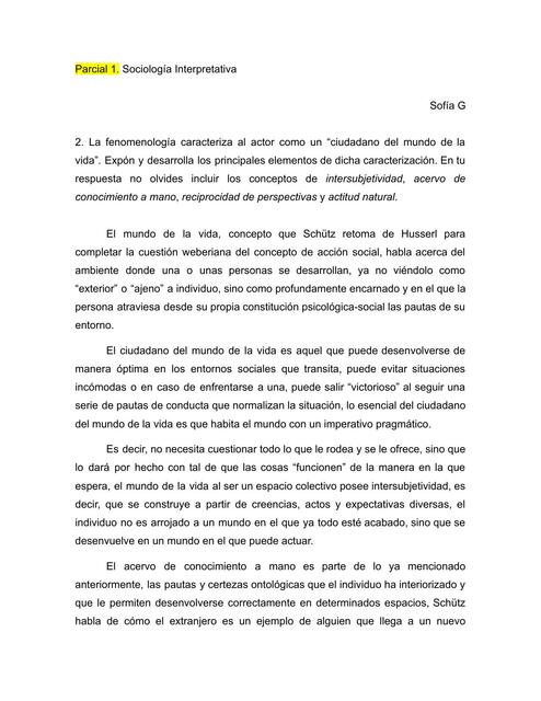 Examen Sociología Interpretativa: Schutz y Mead