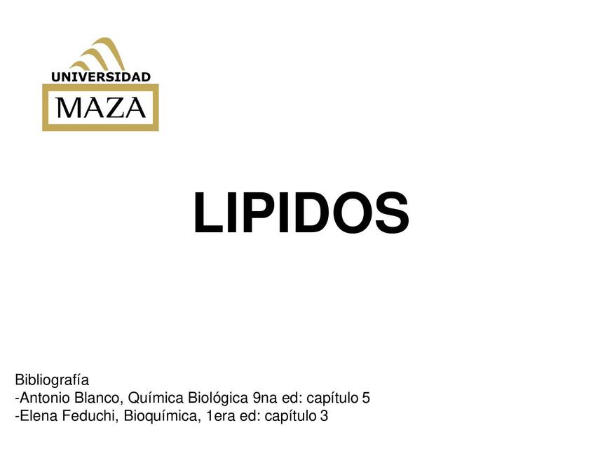 Lípidos 