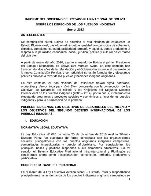 Informe del gobierno del estado plurinacional de Bolivia sobre los derechos de los pueblos indígenas 