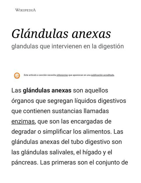 Glándulas anexas 