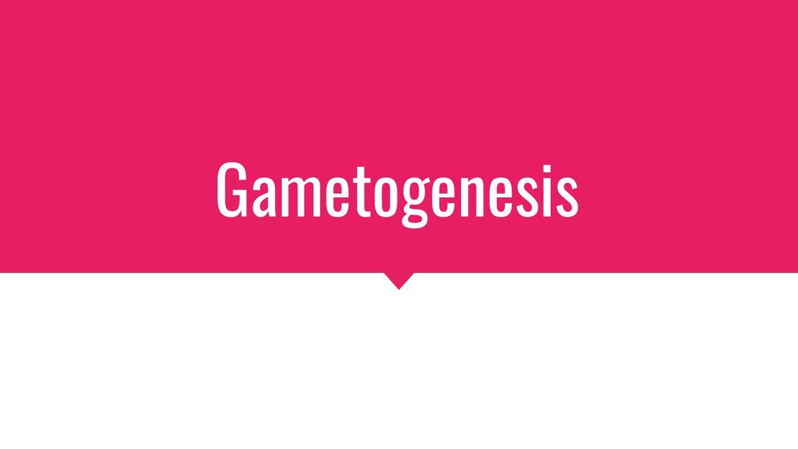 Gametogénesis 