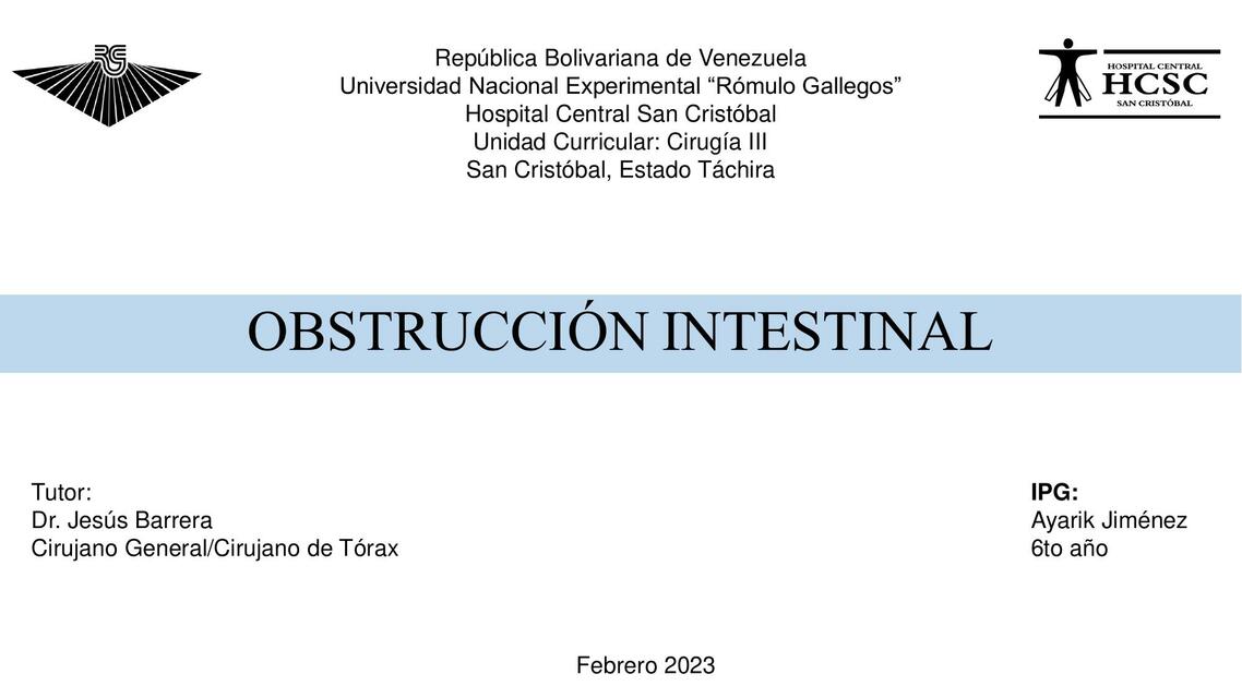 Obstrucción intestinal  