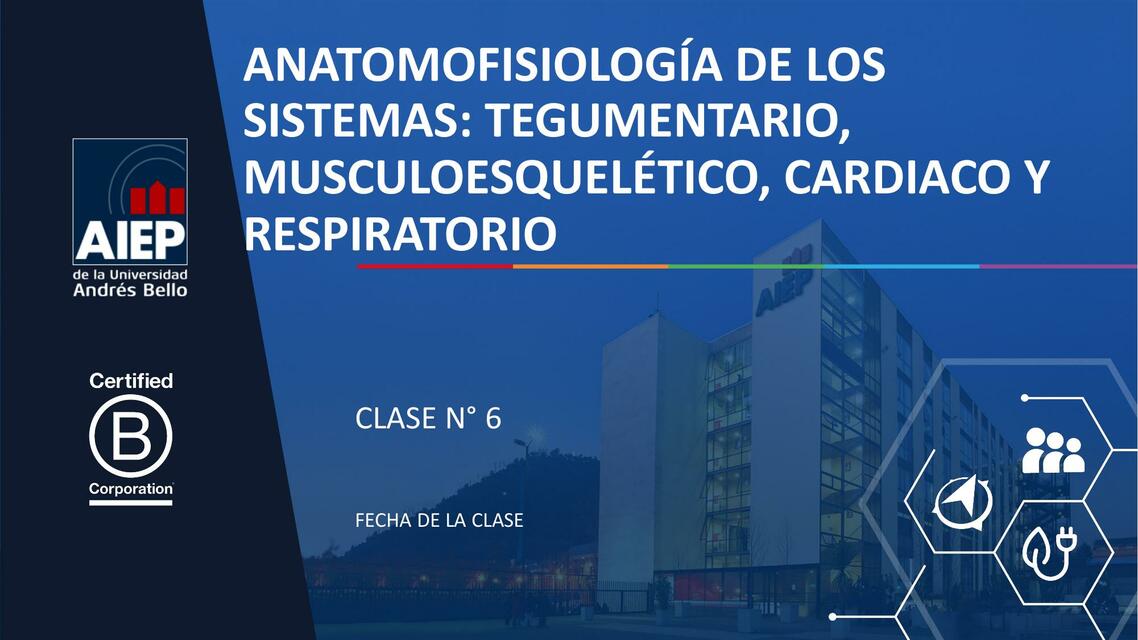 Anatomofisiología de los sistemas: Tegumentario, musculoesquelético, cardíaco y respiratorio