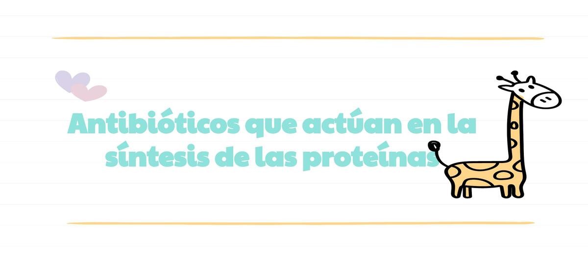 Antibióticos que Actúan en la Síntesis de las Proteínas 