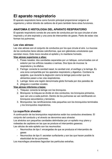 El aparato respiratorio 