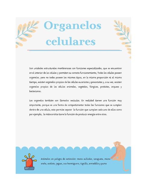 Organelos Celulares 